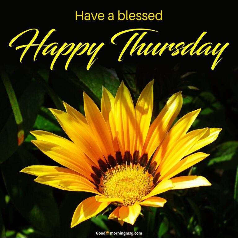 Good Morning Thursday Flowers Images Goodmorningmsg