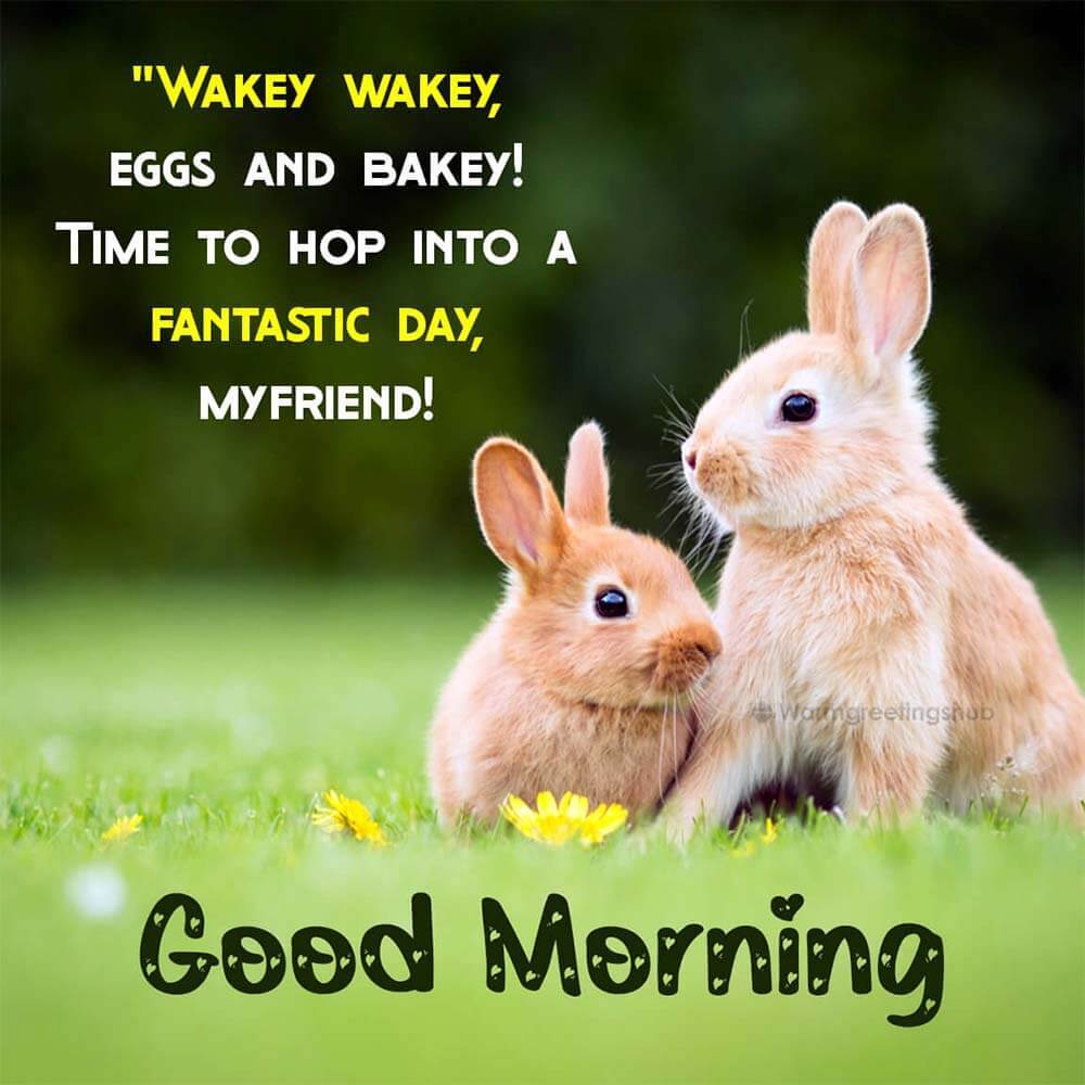 Cute Good Morning Bunny Image