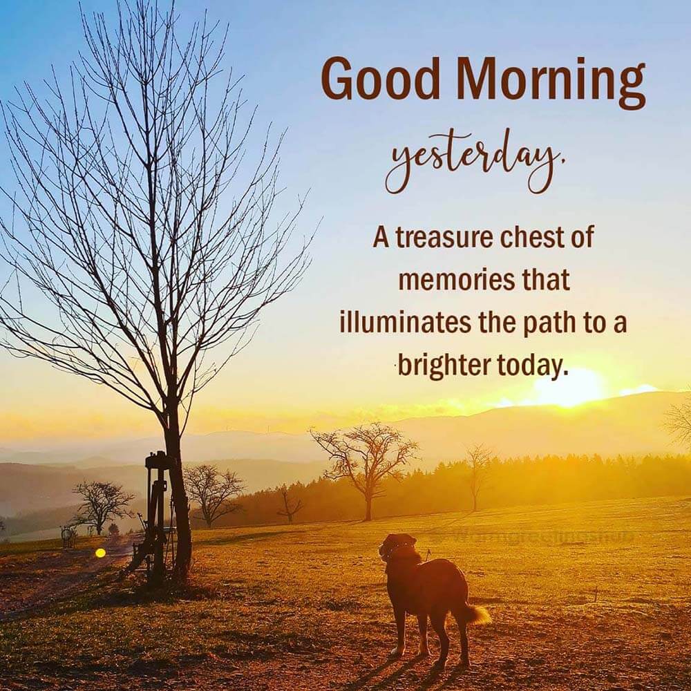 Good Morning Yesterday Messages, Quotes and Status - goodmorningmsg.com ...