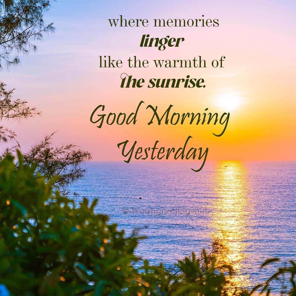 Good Morning Yesterday Messages, Quotes and Status - goodmorningmsg.com ...