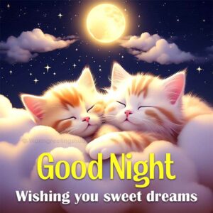 Good Night Wishing You Sweet Dreams