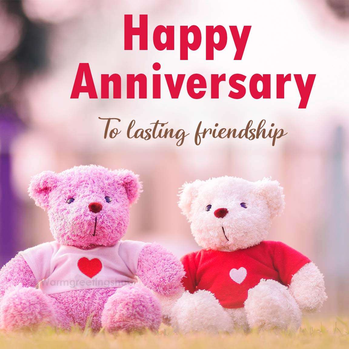 Happy Anniversary To Lasting Friendship