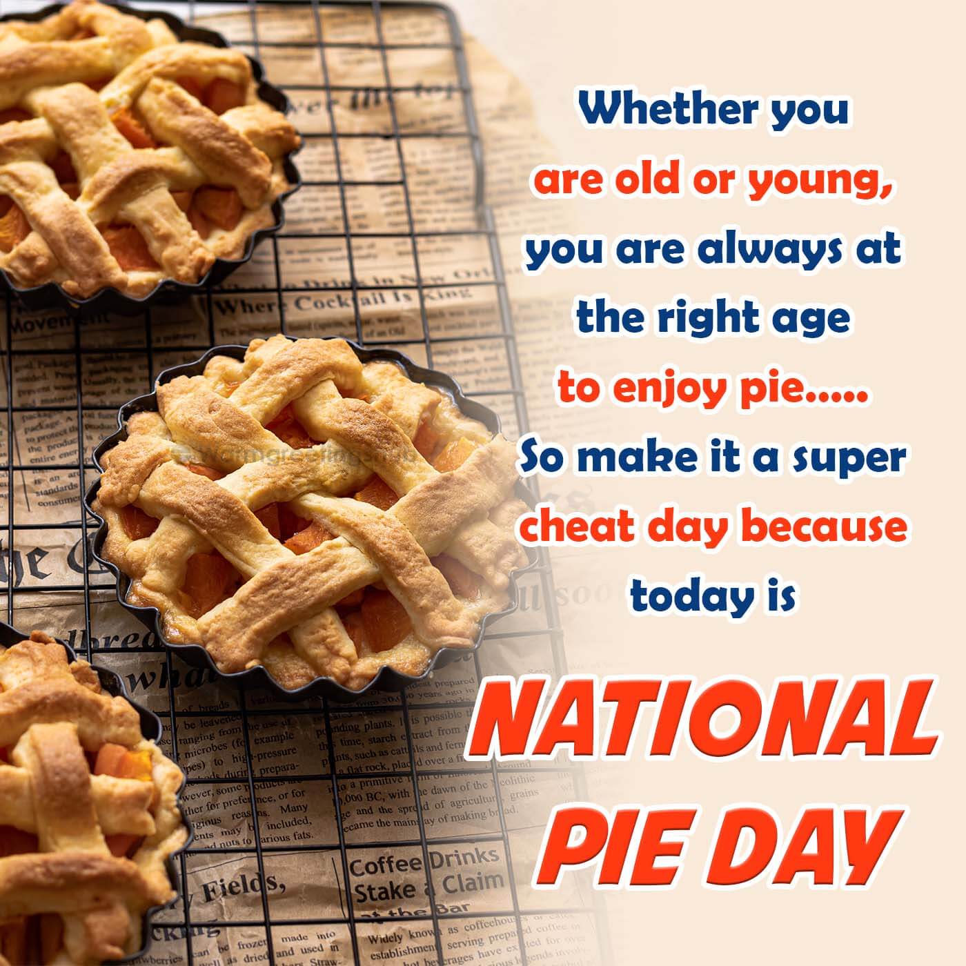 Happy National Pie Day Photo