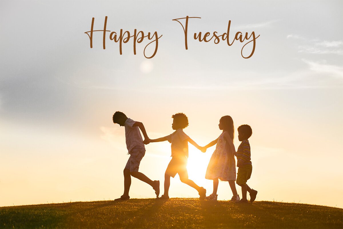 Happy Tuesday