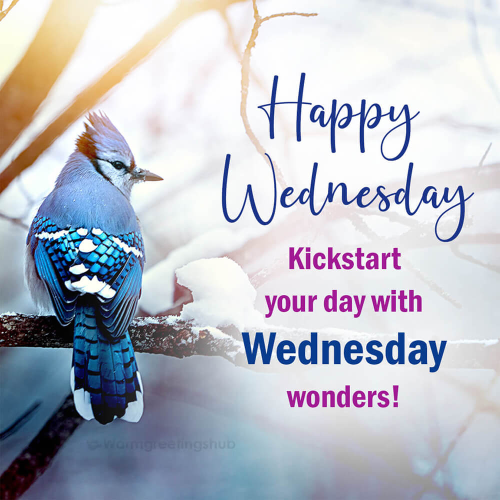 Happy Wednesday Wishpic