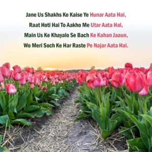 Love Shayari Message