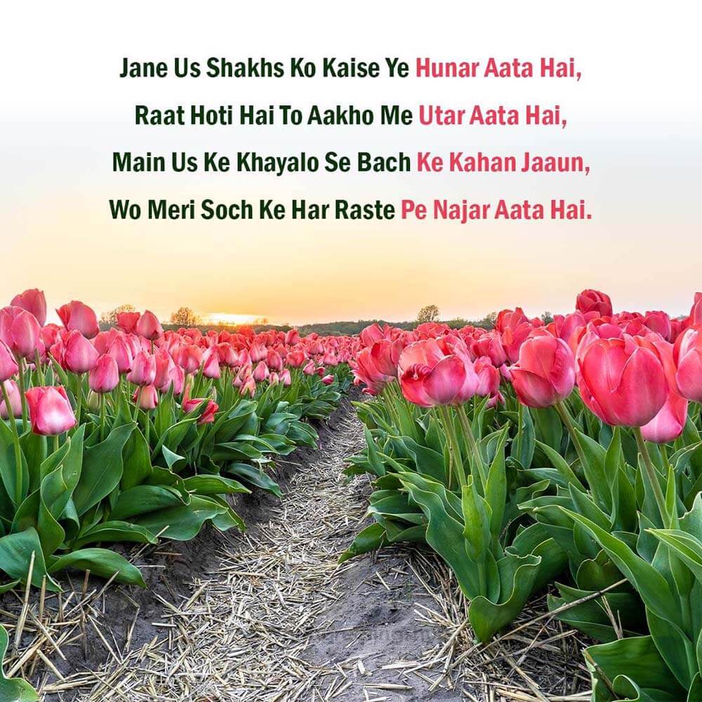 Love Shayari Message