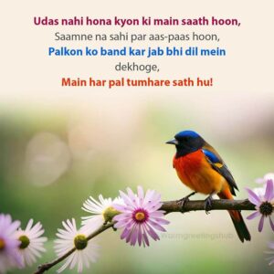 Love Shayari Status