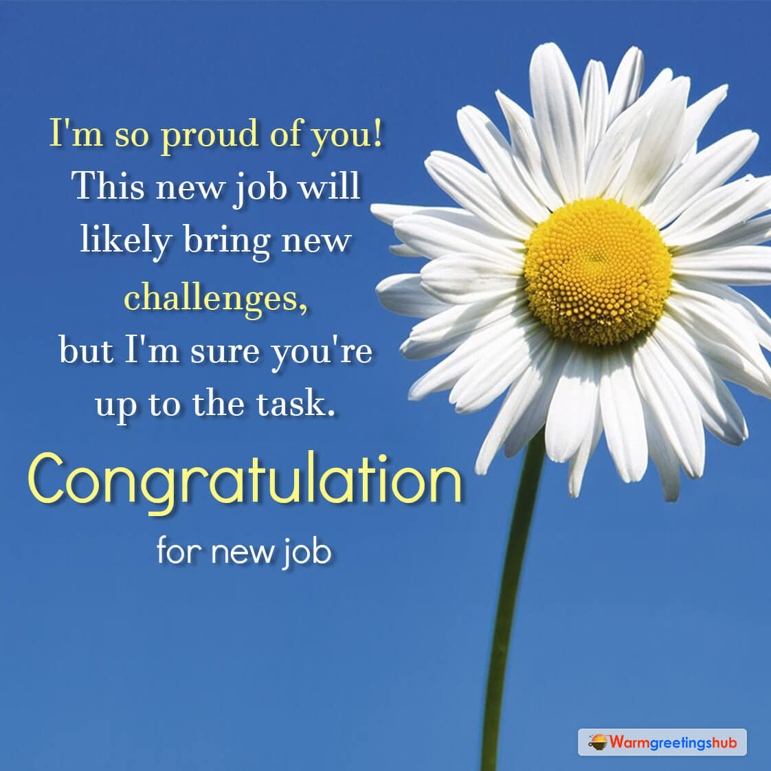 New Job Congratulations Messages