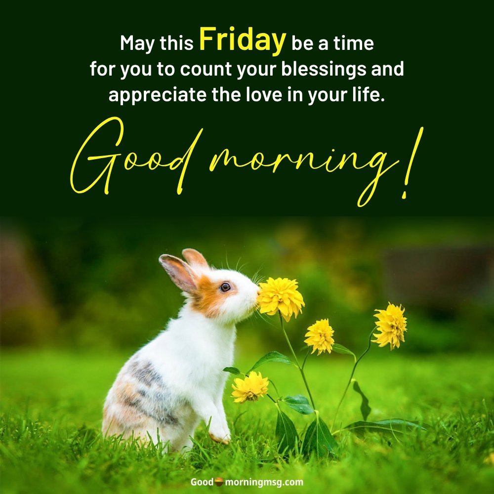 Yay Its Friday Quotes YAY It s Friday Yay Its Friday Quotes YAY It s Friday