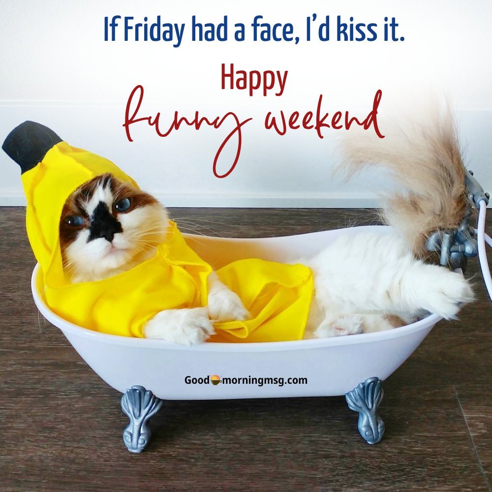 Funny Weekend Images I Goodmorningmsg