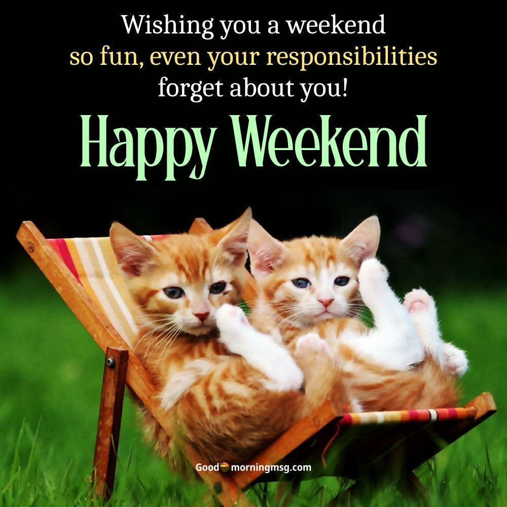 Funny Weekend Memes For Friends I Goodmorningmsg