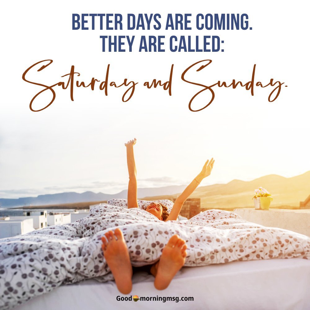 Funny Weekend Quotes I Goodmorningmsg