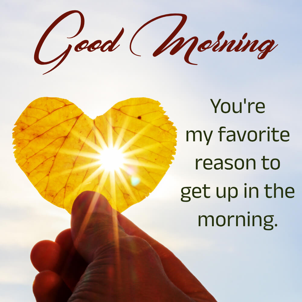 Good Morning Message For My Beautiful Wife