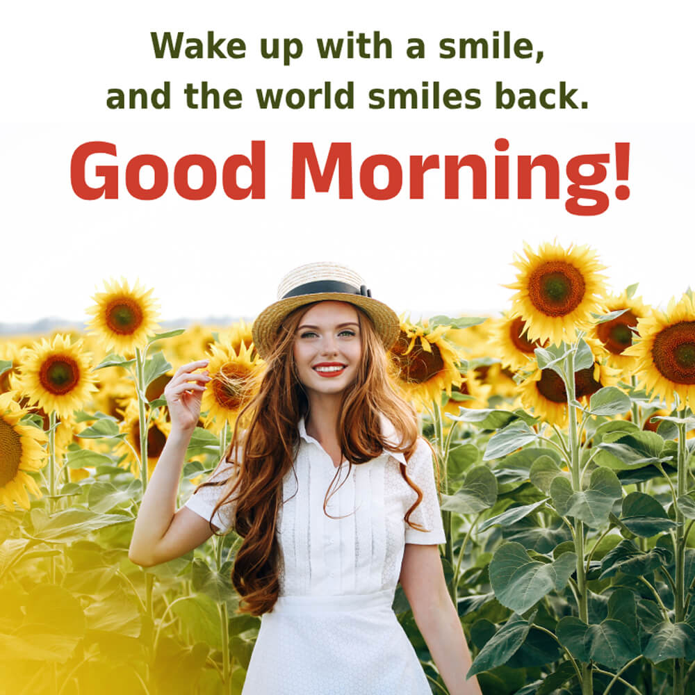 Good Morning My Love Message