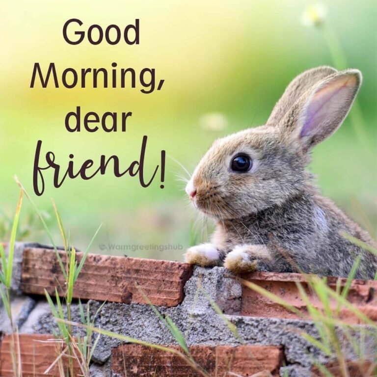 Friday Morning Rabbit Cute Good Morning Rabbit - goodmorningmsg.com - goodmorningmsg.com