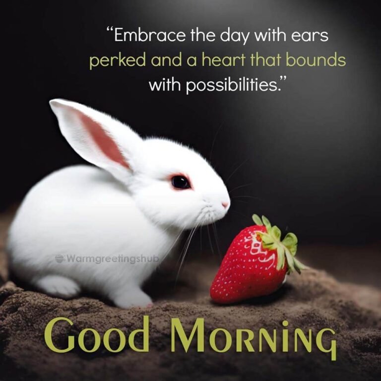 Morning Bruce Rabbit Cute Good Morning Rabbit - goodmorningmsg.com - goodmorningmsg.com