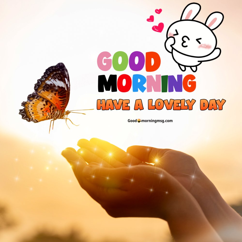 Happy Sunday Beautiful Images