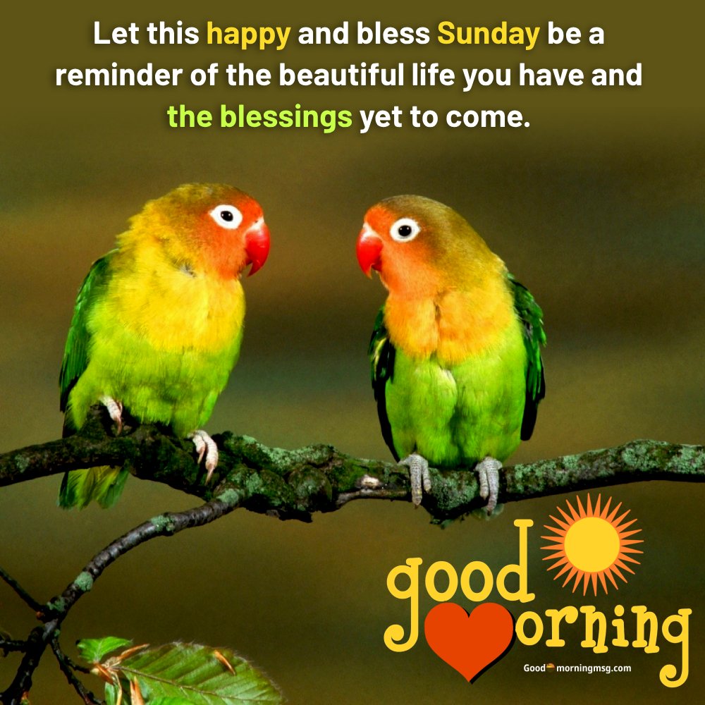 Happy Sunday Cute