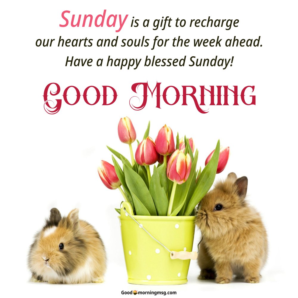Happy Sunday Good Morning Hd Images