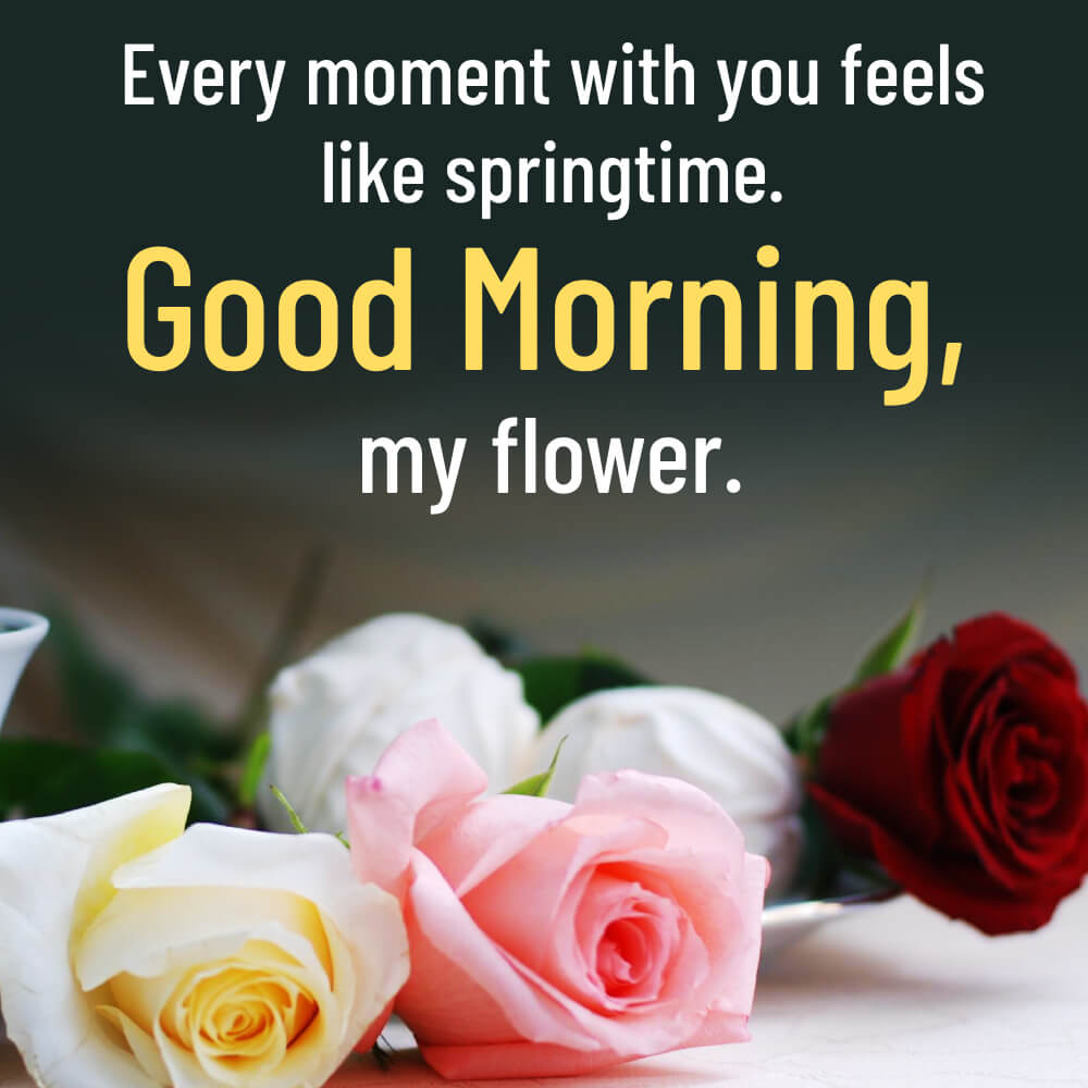 Romantic Good Morning Flowers