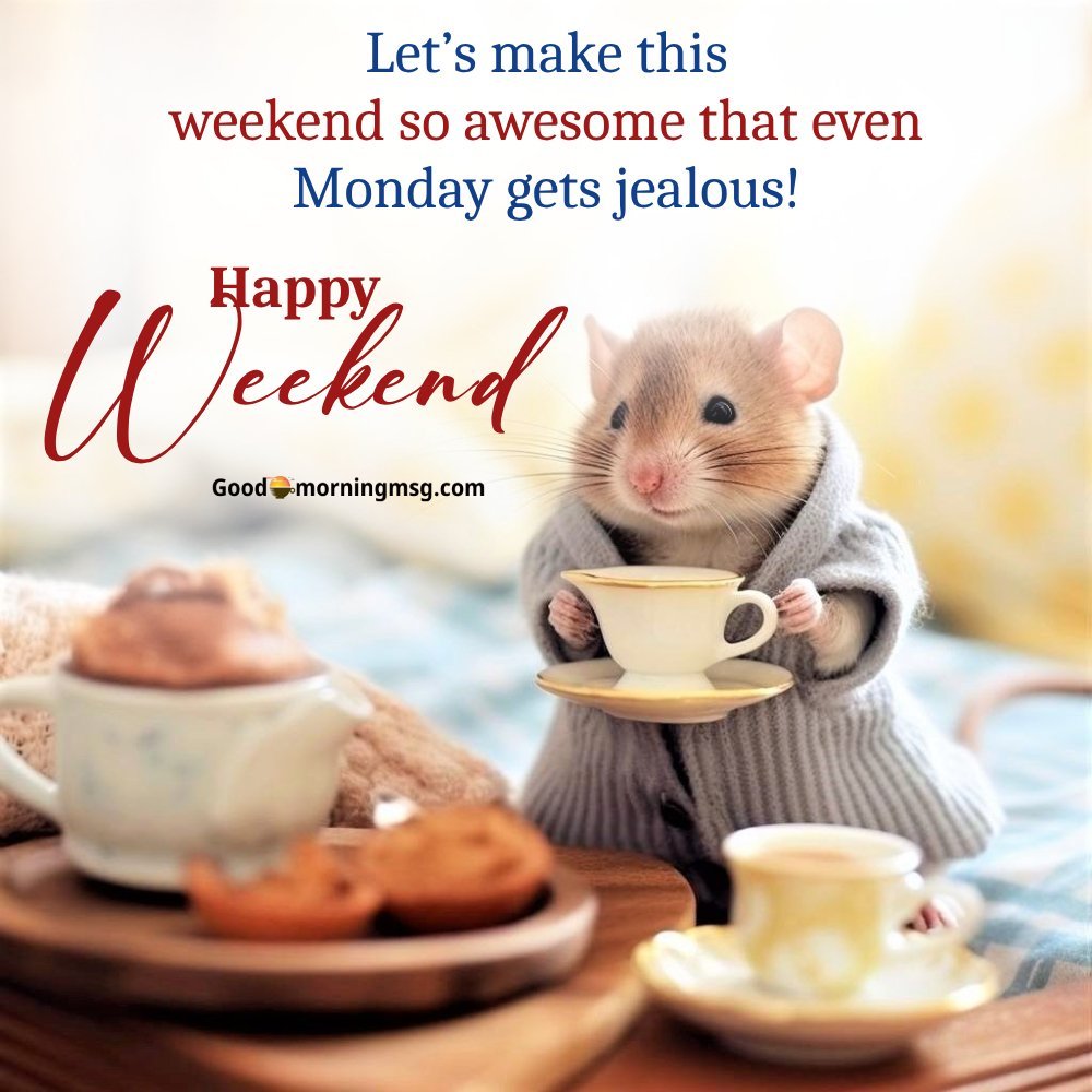 Short Funny Weekend Quotes I Goodmorningmsg