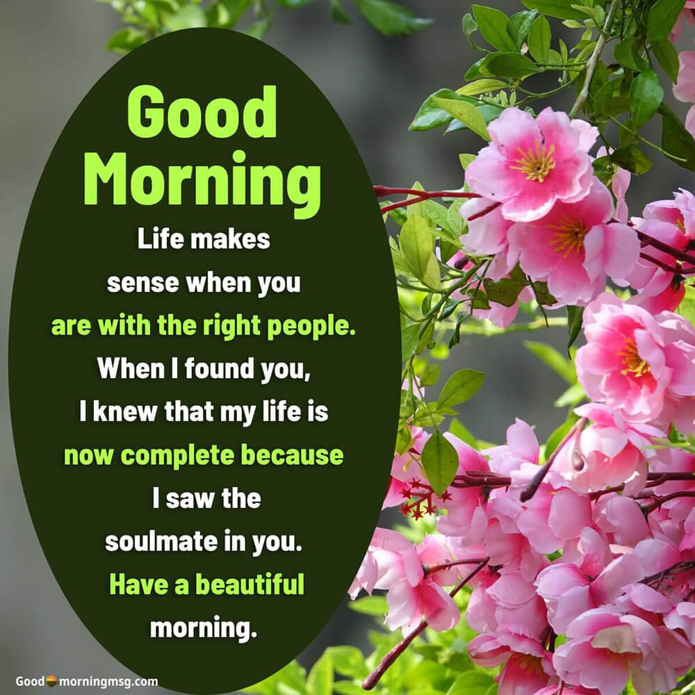 Short Love Quotes