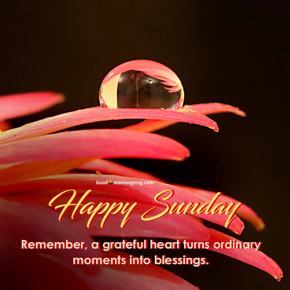 Sunday Good Morning I Goodmorningmsg