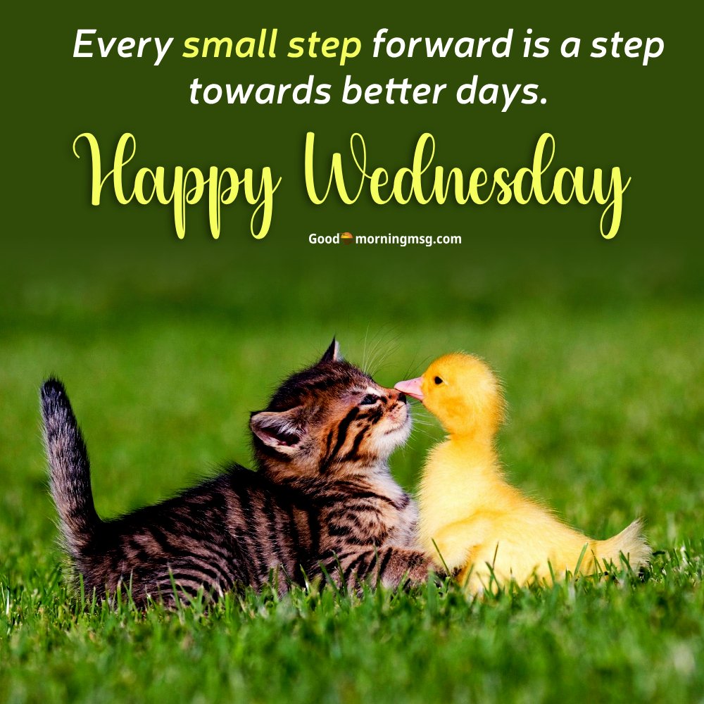 Wednesday Good Morning God Images