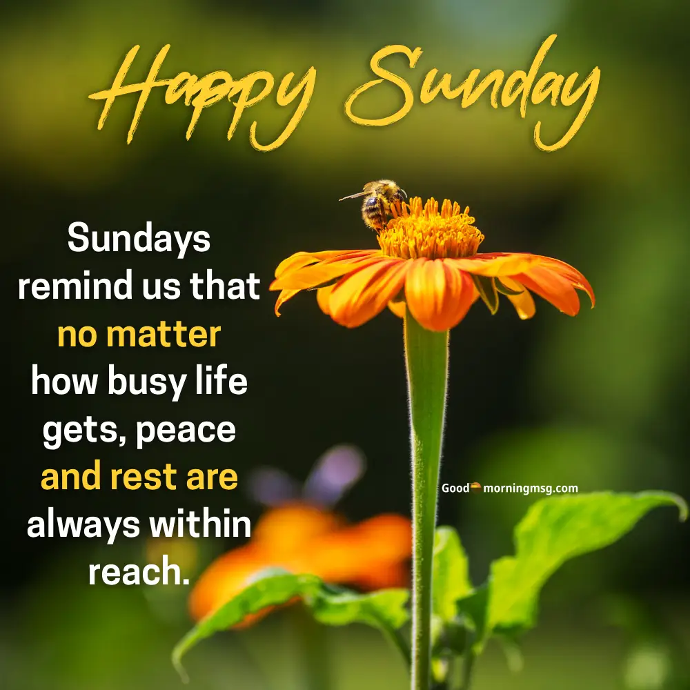 Wednesday Quotes Positive I Goodmorningmsg