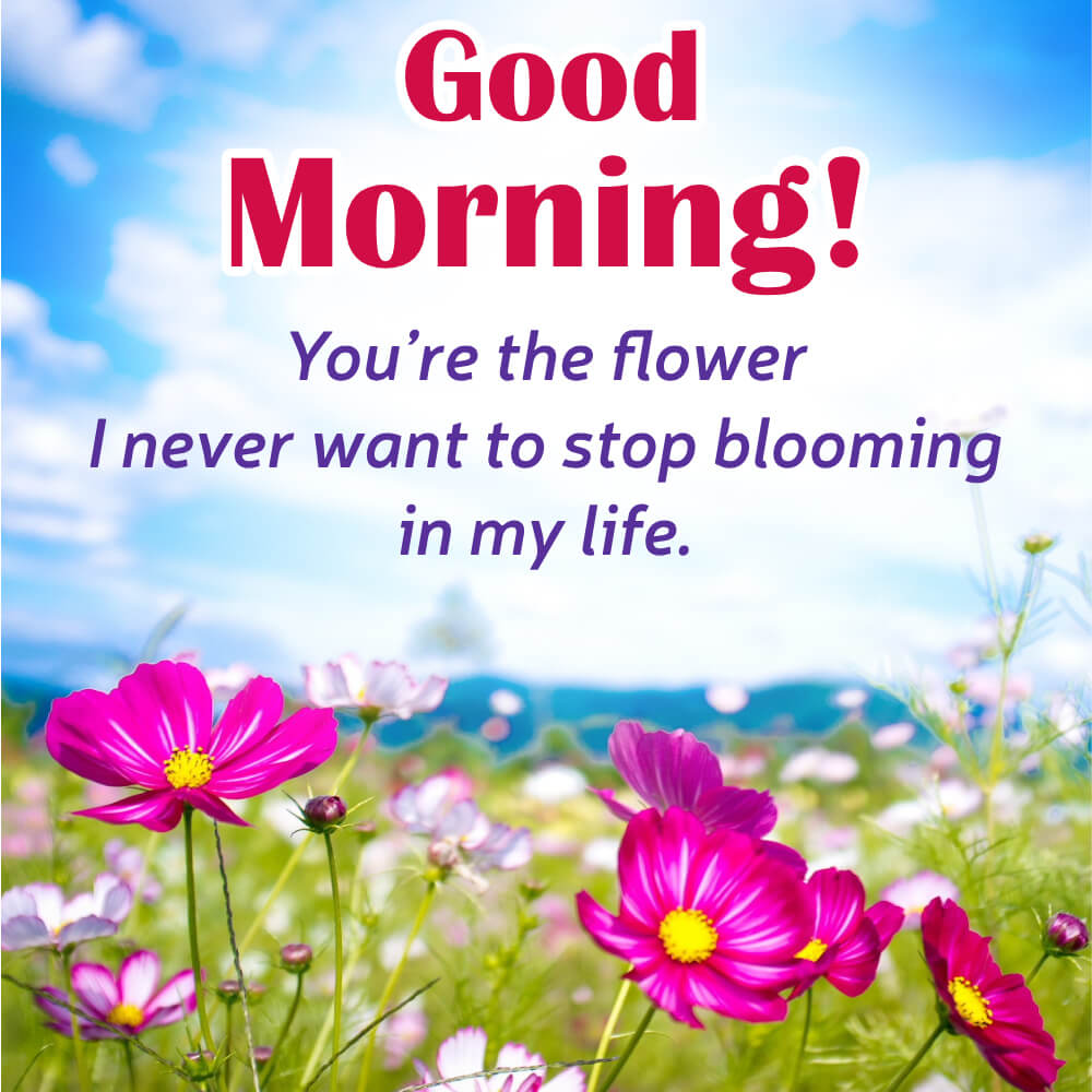 Wishes Good Morning