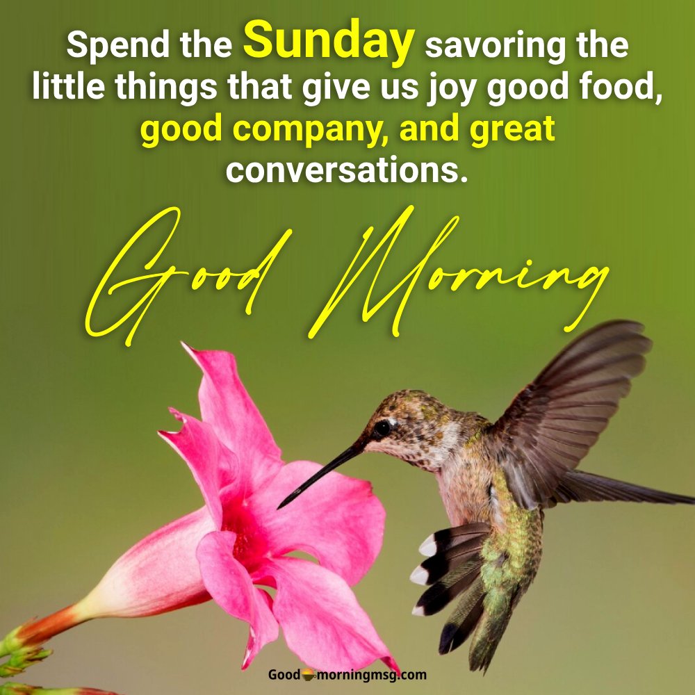 Wonderful Sunday Quotes I Goodmorningmsg