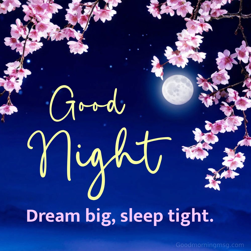 Good Night Dream Big