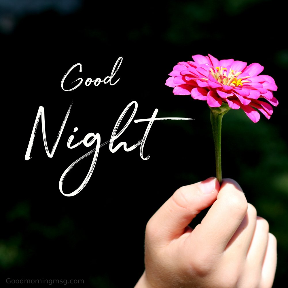 Good Night Messages For Whatsapp