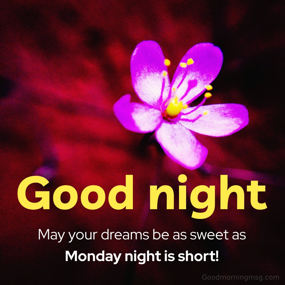 Good Night Monday Wishes For Friends