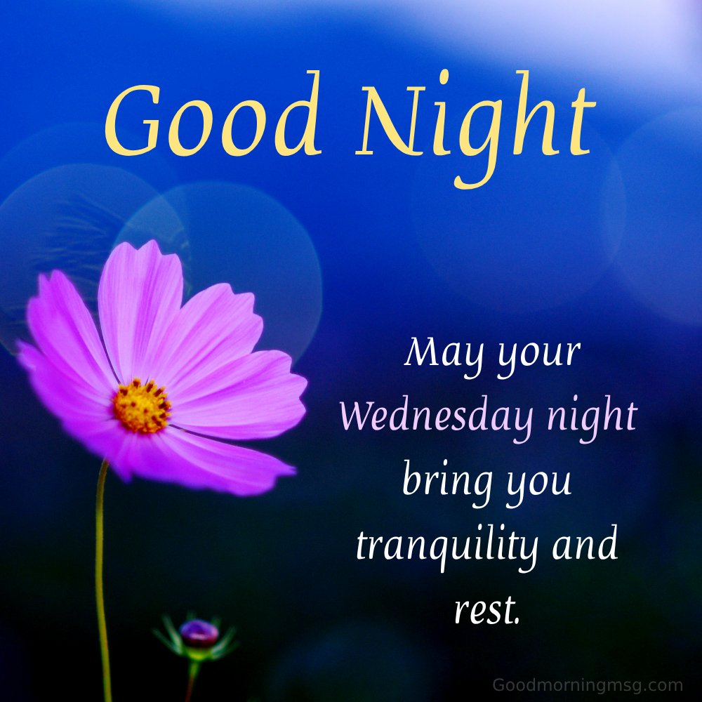 Good Night Wednesday Images