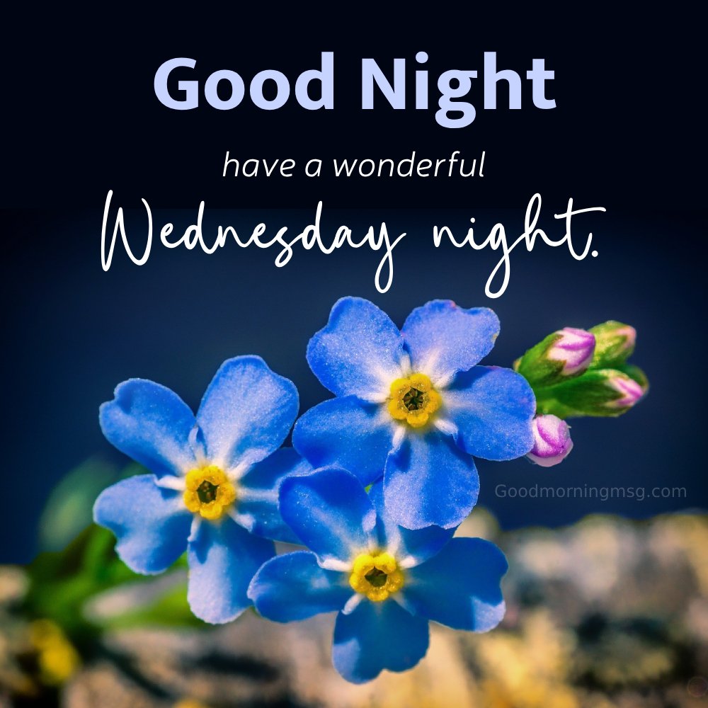 Good Night Wednesday Wishes