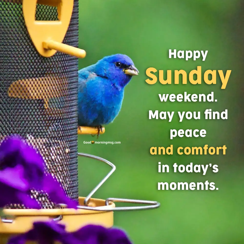 Beautiful Good Morning Sunday Red