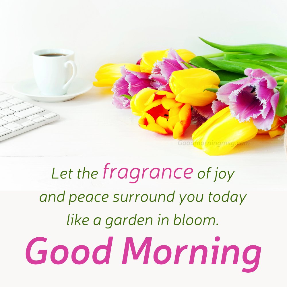 Best Good Morning Flower Quotes And Images