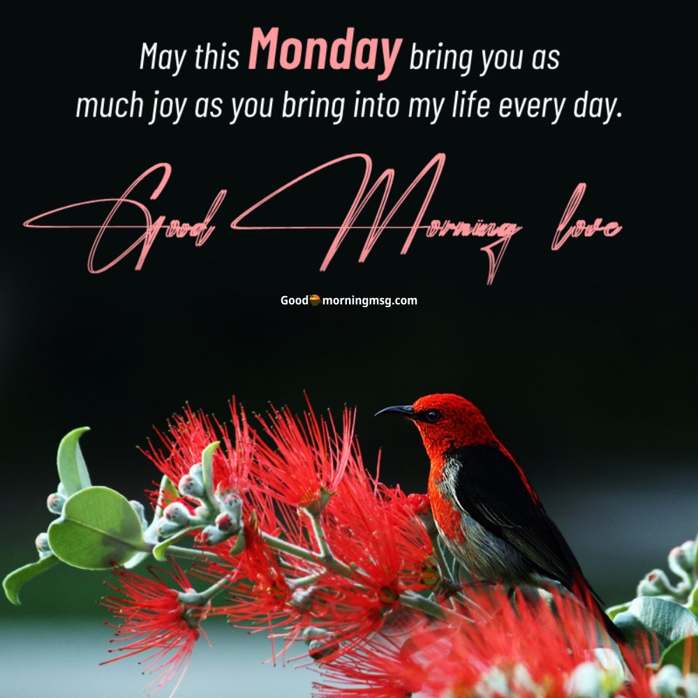Good Happy Monday Morning Gif