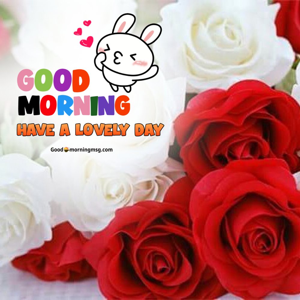 Good Morning And Happy Sunday Images