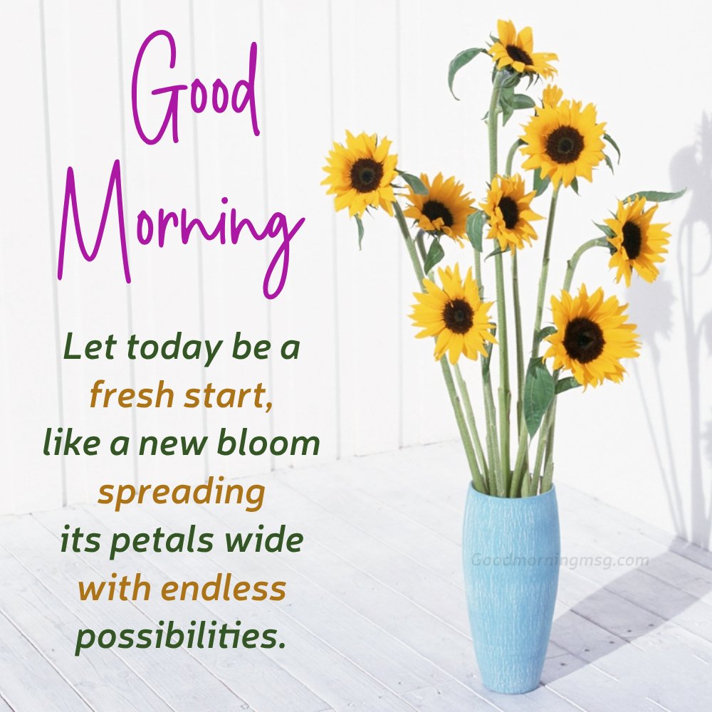 Good Morning Flowers Images Hd