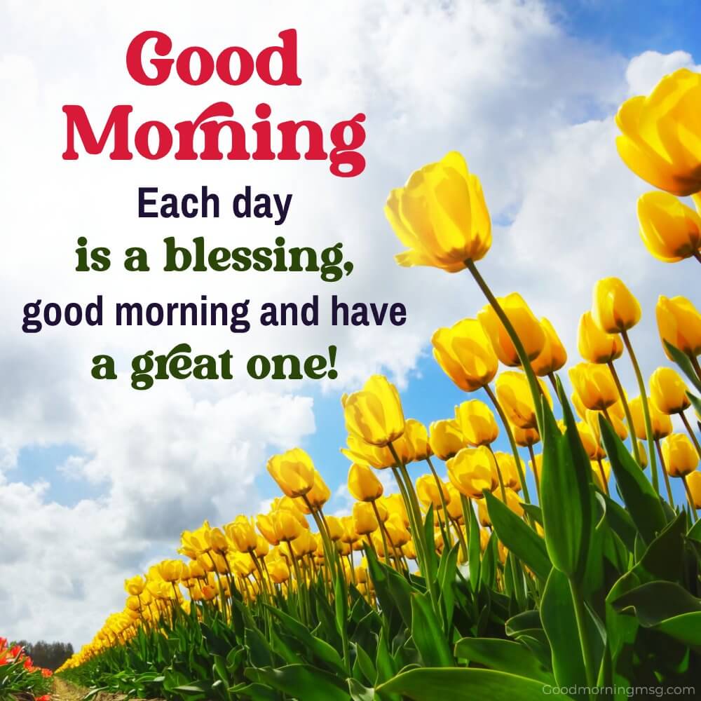 Good Morning Images Quotes Greetings