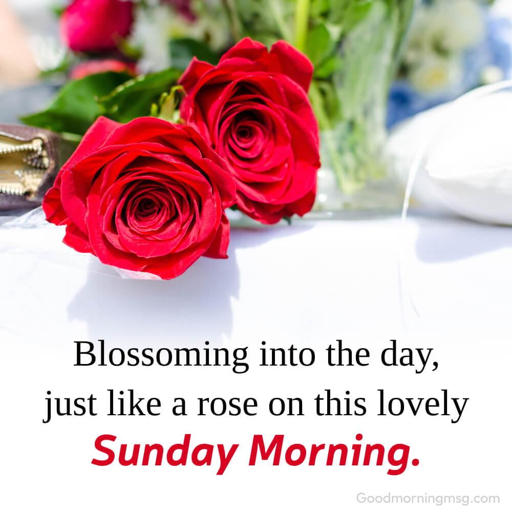 Good Morning Red Rose Images