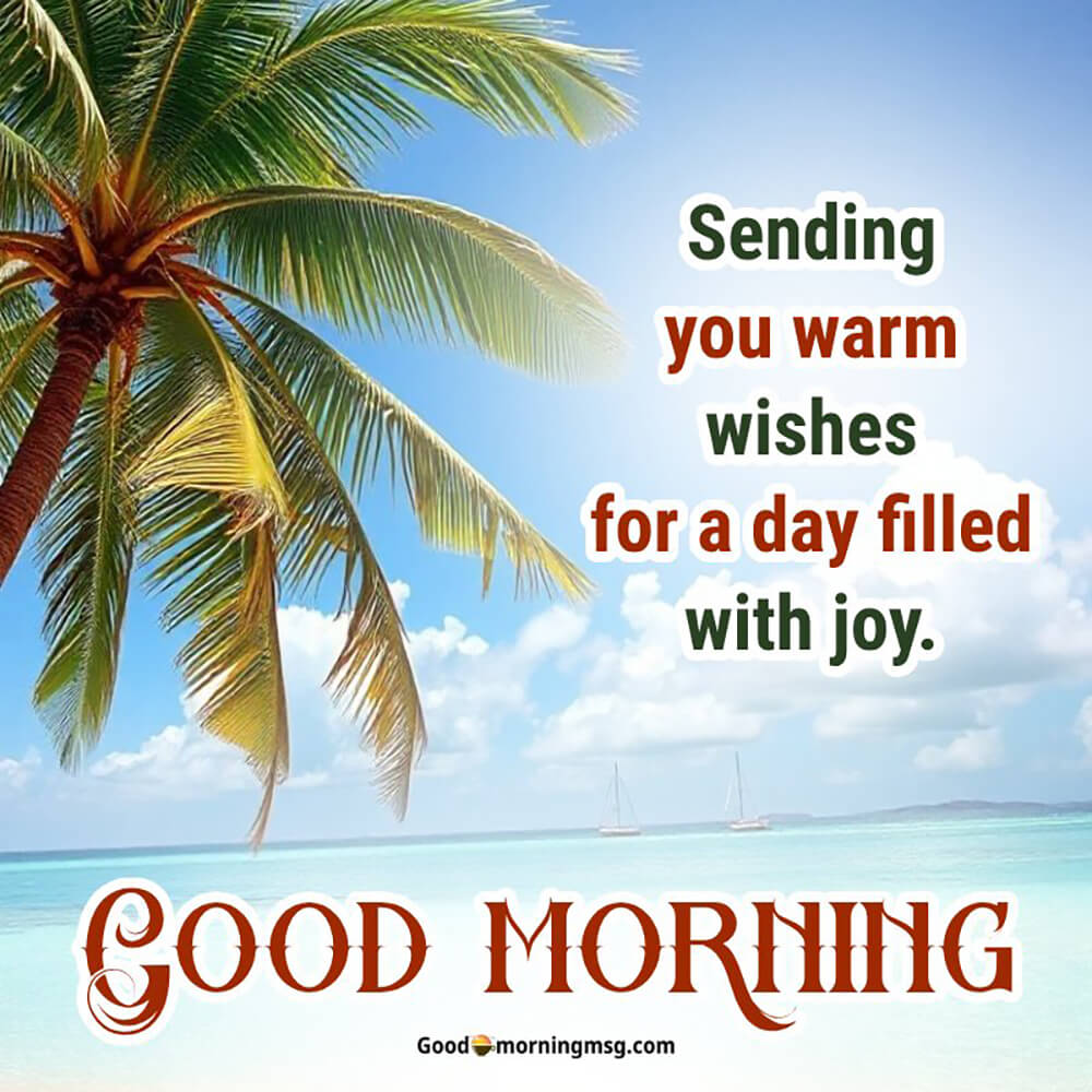 Good Morning Roses