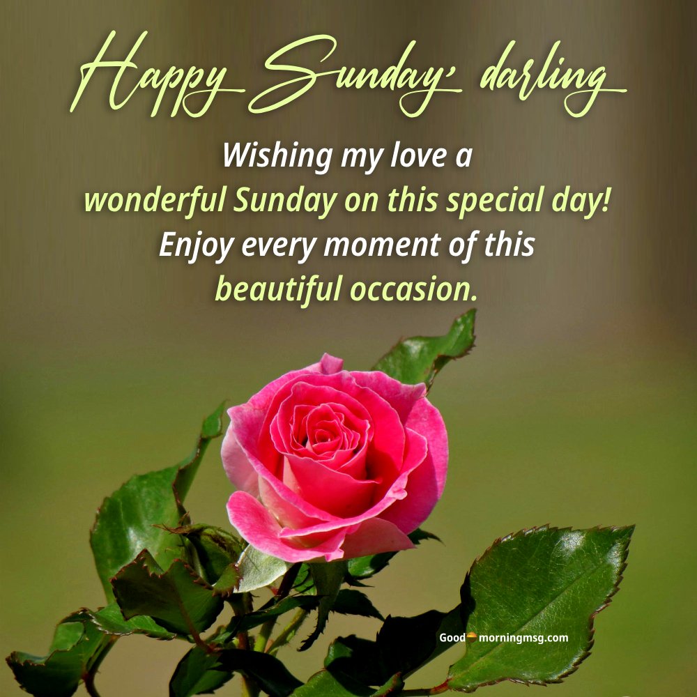 Good Morning Sunday Rose
