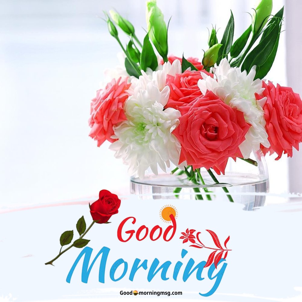Good Morning Sunday Roses