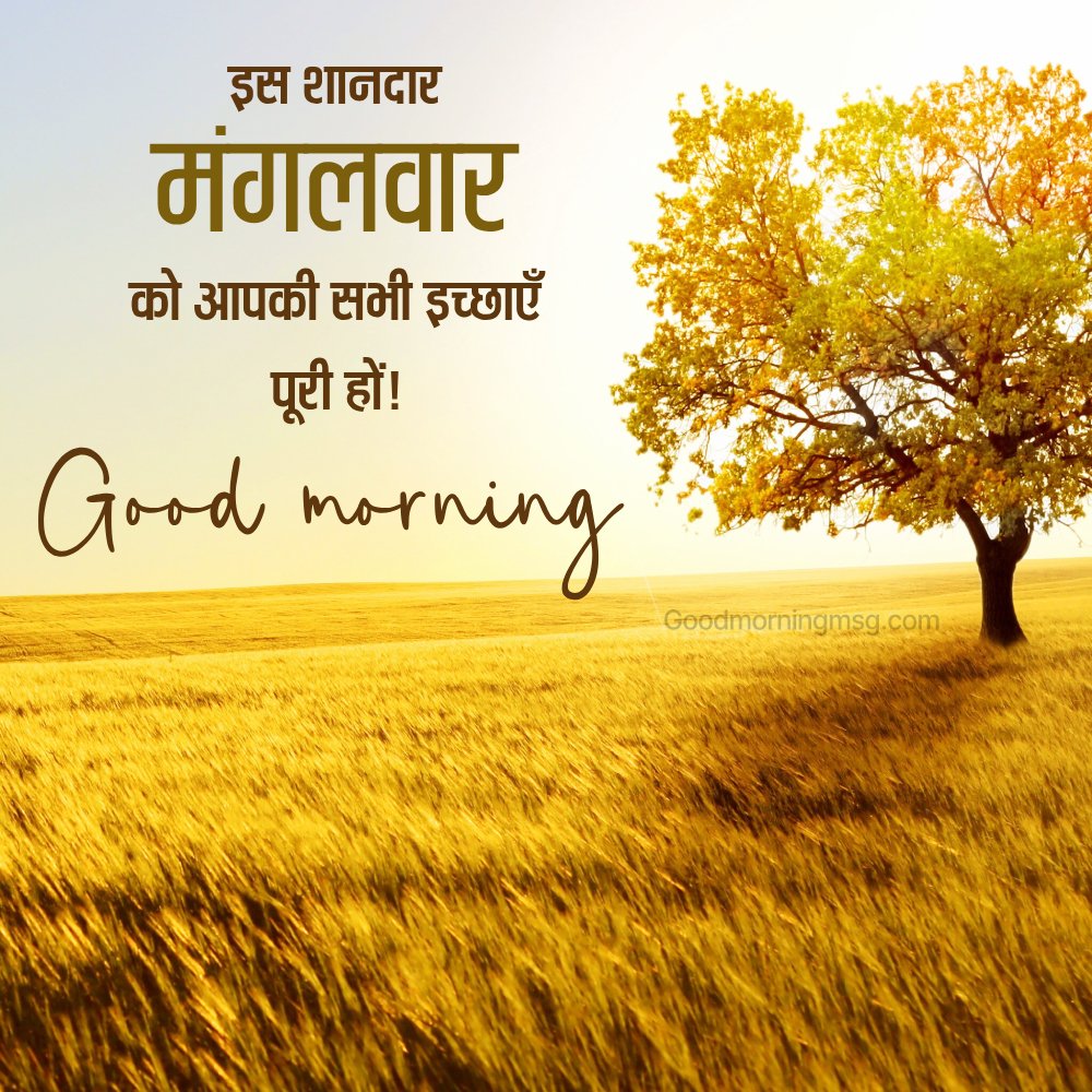 Good Morning Tuesday In Hindi Shubh Mangalwar