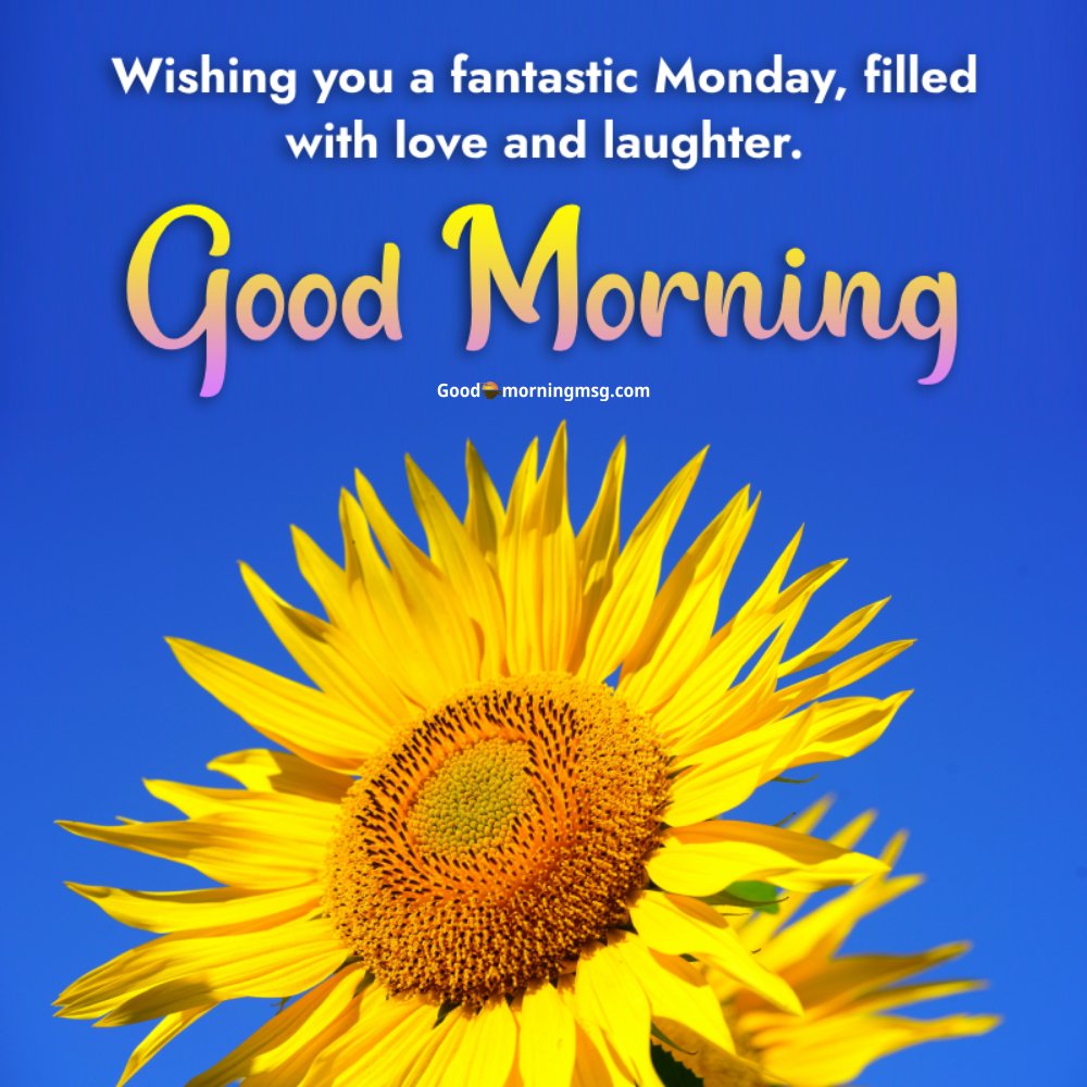 Happy Monday And Good Morning