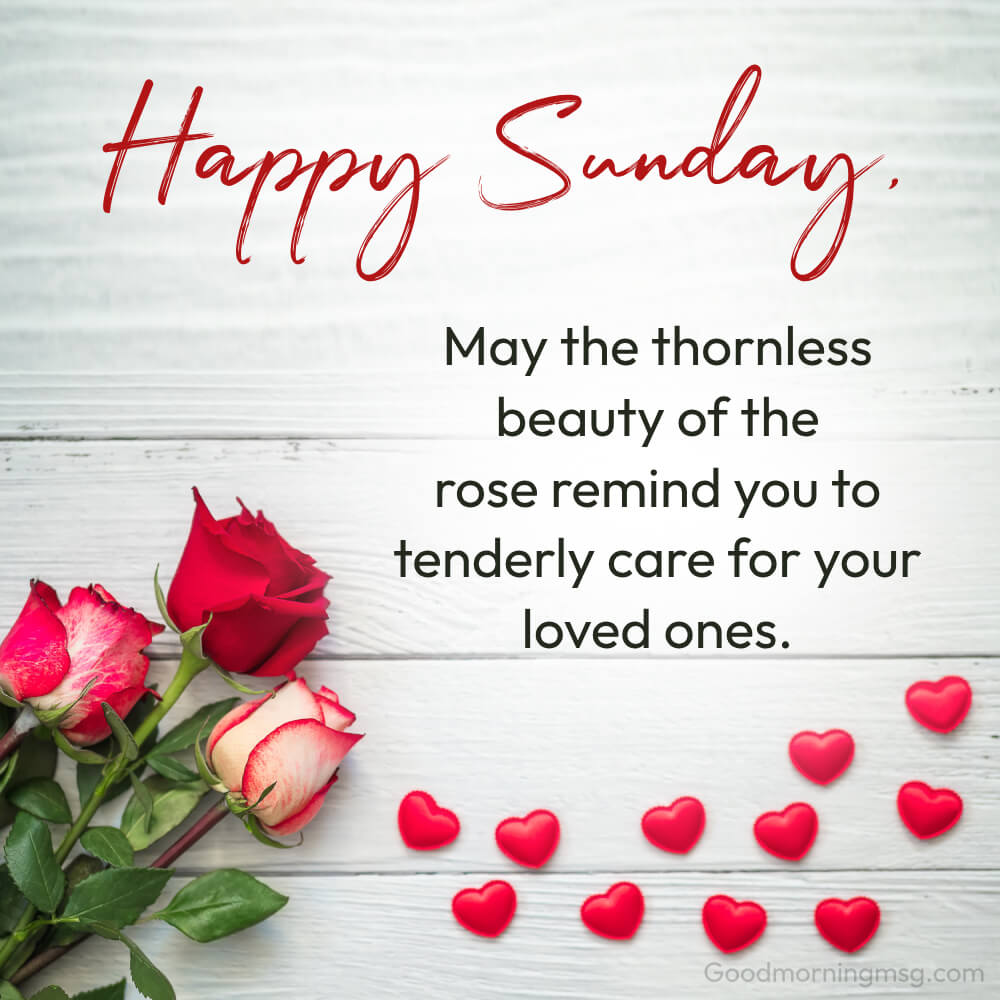 Happy Sunday Card Greetings With Beautiful Rose